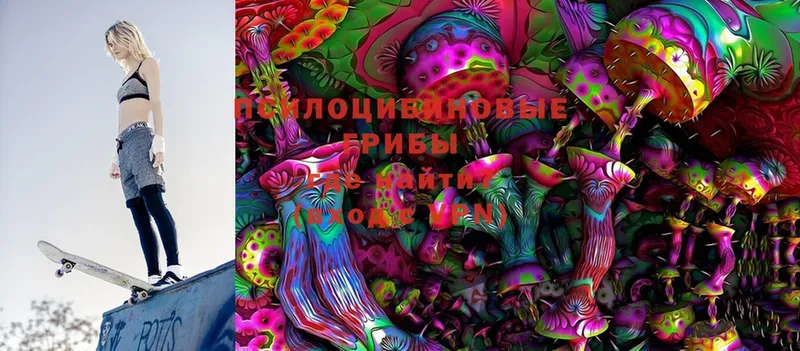 KRAKEN сайт  Лобня  Галлюциногенные грибы Cubensis 